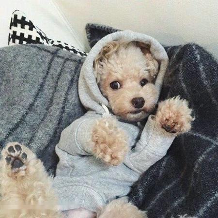 ޵ǵ1 ڹ˹Ǻ˵վݹر